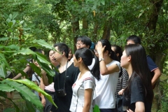 Lung Fu Shan Chinese Herbal Garden Visit