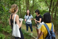 Lung Fu Shan Chinese Herbal Garden Visit